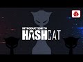 Introduction to Hashcat