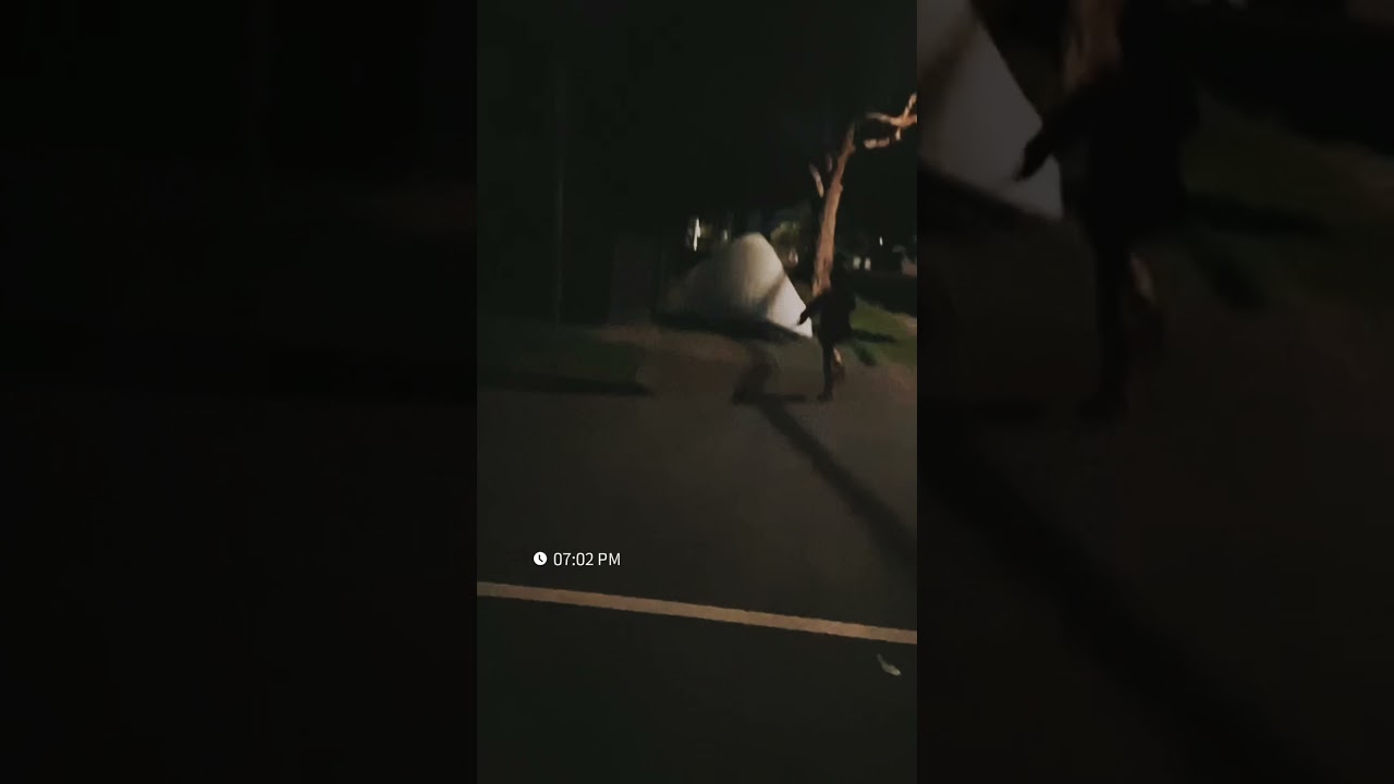 床垫子成精了！