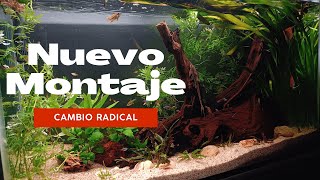 El Nuevo Montaje De 270L; Acuario Amazónico