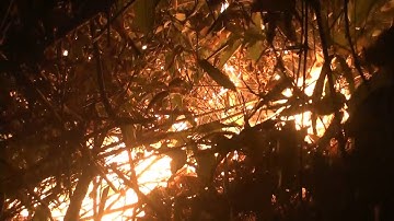 Nắng nóng, tiếp tục xảy ra cháy rừng ở Nghệ An