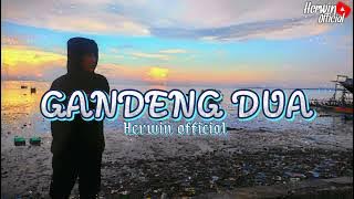 Lagu party terbaru gandeng dua ll Herwin officl