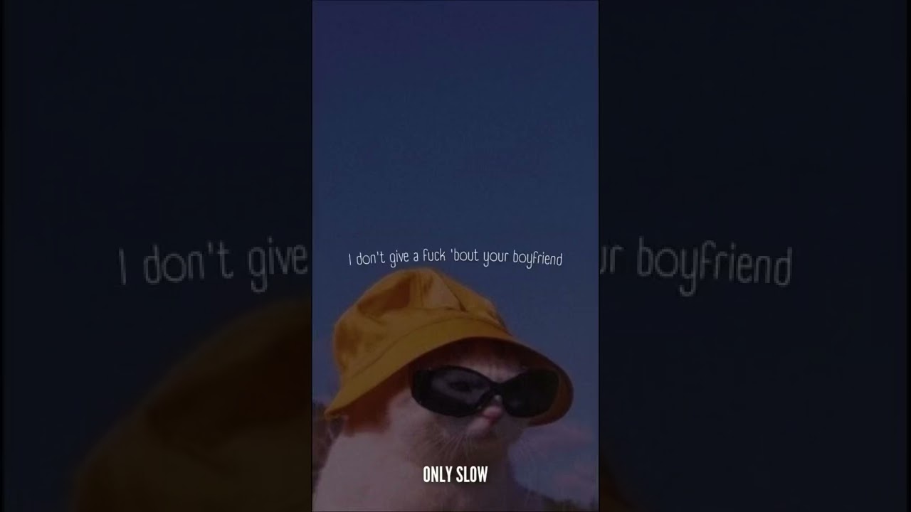 whoheem - lets link [slowed + reverb] whatsapp status vid