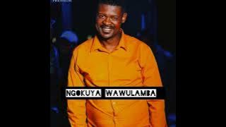 Ngoku wawulamba iPhumile YouTube 