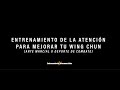 Entrenamiento de la Atención para mejorar tu A.Marcial: Tiempo de Reacción vs Precisión de respuesta