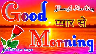 5 Aug, Thursday Good Morning video?प्यार के फूल हो आंचल में?love shayari?Good morning Shayari video