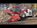 Die rote Rübenmaus - LKW Rübenverladung Rübenernte Nordzucker mouse loader loading sugar beet 2018