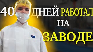 Как я работал на заводе?! ВСЯ ПРАВДА! Сколько Заработал $$$?