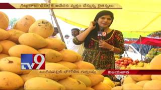 Watch more ismart news: https://bit.ly/2lhjs9b ap's banganapalle
mangoes get geographical indication tag tv9 telugu website:
https://tv9telugu.com/ ap assemb...