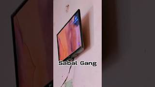 This Is A Sabal Gang