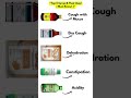 Top 5 Syrups and Their Uses 💊 | Cough | Acidity |Constipation & Dehydration Syrups Explained