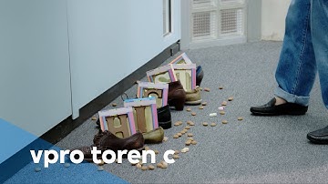 Sinterklaas - Toren C