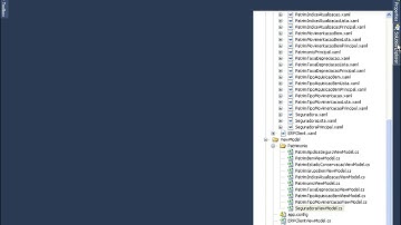 T2Ti ERP - C# - Patrimônio - Video Aula 14 - Seguradora