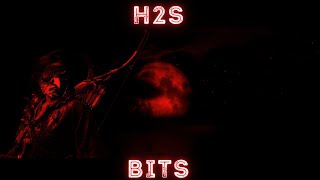 Ghost of Tsushima Nightmare survival H2S Bits