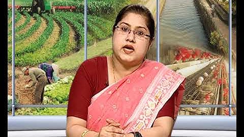 Biology IX CH15 EP1 Improvement in Food Resources 1