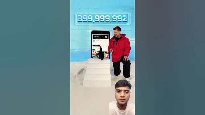 Mr Beast  Say Can I Teach A Penguin To Subscribe 😱 Challenge #shorts #mr beast #beast #penguin