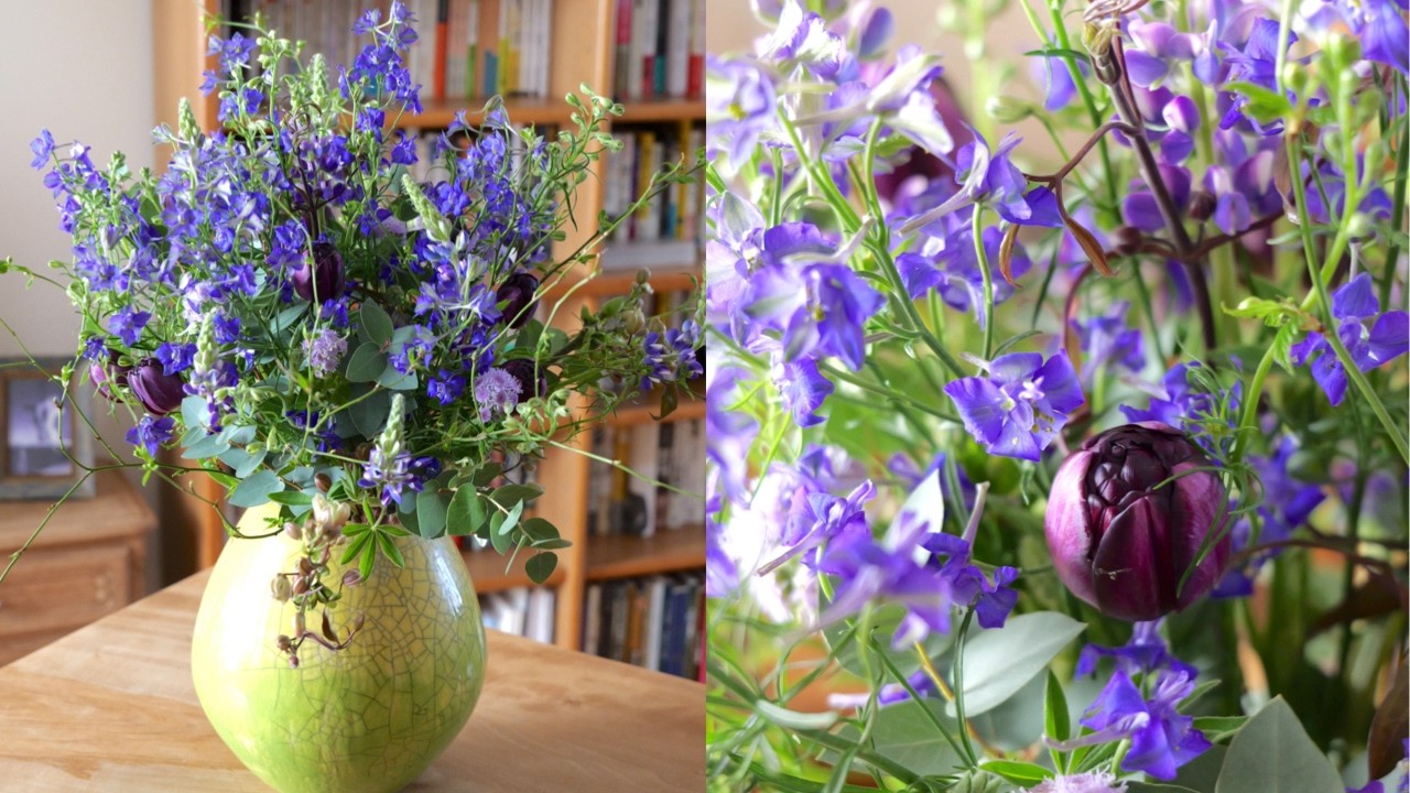 Delphinium] A refreshing blue bouquet that evokes the feeling of