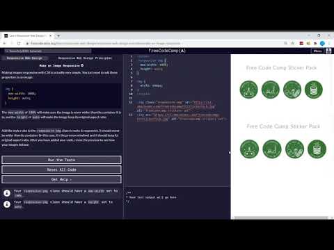 Responsive Web Design Principles (2/4) | Make an Image Responsive | freeCodeCamp