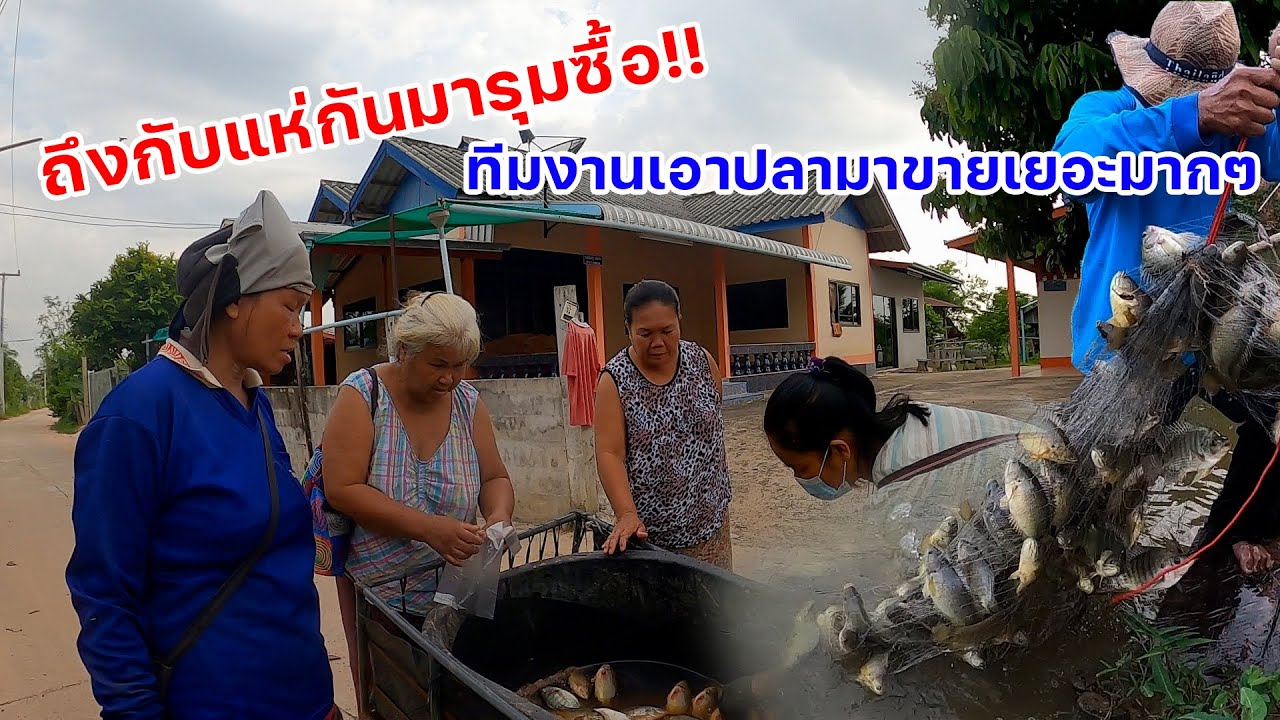 ทุกคนถึงกับแห่กันมารุมซื้อ ทีมงานเอาปลามาขายเยอะมากๆ พ่อใหญ่ลุนหว่านแหเอาปลามาขาย