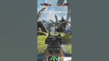 センチネル装弾数もう少し増やしてくれーい