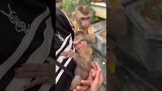 Bubu Wakes You Up To Play With Him.