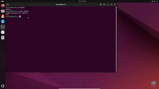 Linux – How to use whoami command