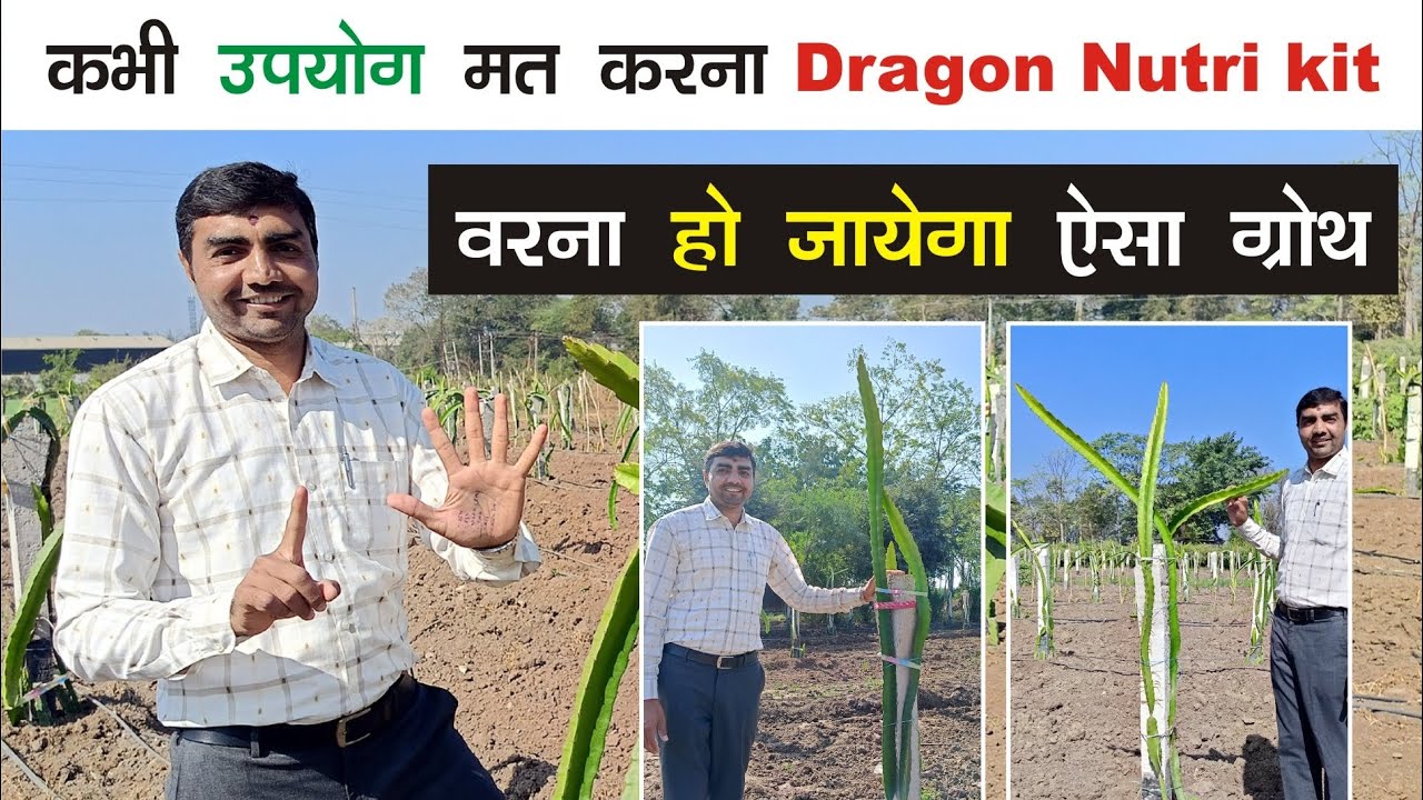 Dragon nutri kit उपयोग के 1 महीने बाद परिणाम । 8200567707