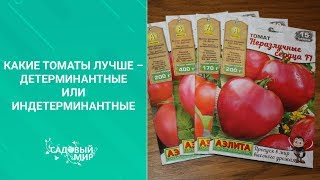 Какие томаты лучше – детерминантные или индетерминантные