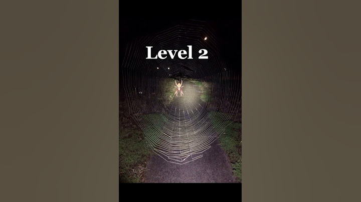 Overcoming Arachnophobia: Fear of Spiders Levels 😱 #trending  #shorts #short #youtubeshorts
