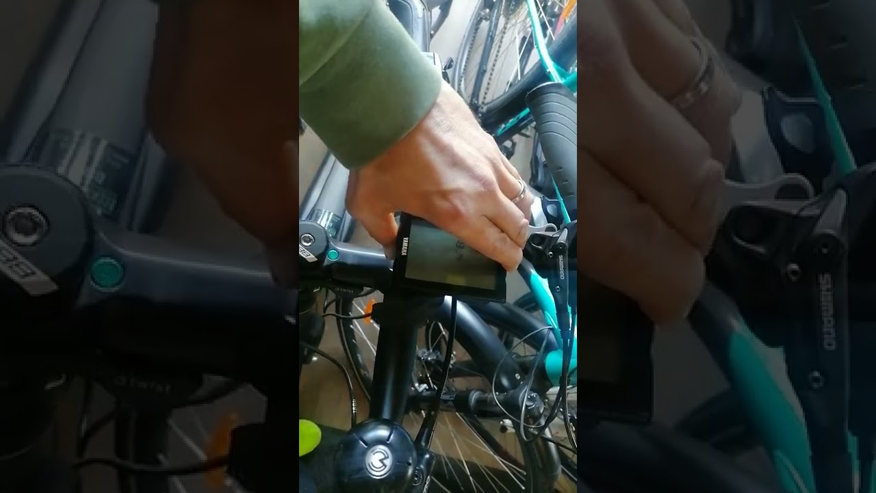 fahrrad wandhalterung Fahrrad Wandhalterung, Fahrradlift vertikal Bikelift main image 0