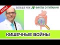 1011.Кишечные войны: сероводород против бутирата | Больше чем ФАКТЫ О ПИТАНИИ - Майкл Грегер