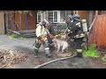 Пожарные спасли кота и собаку из горящей квартиры в Томске