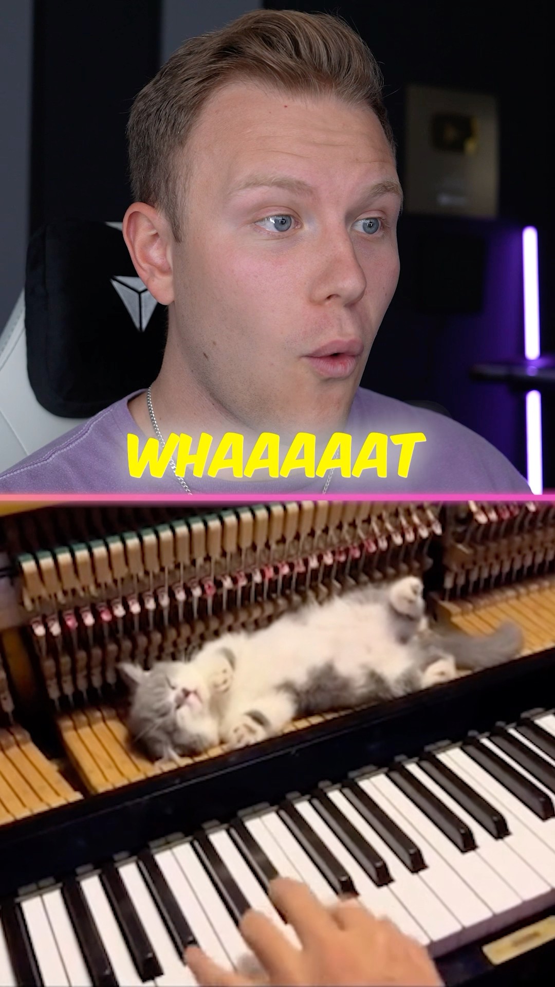 Kitten LOVES the Piano