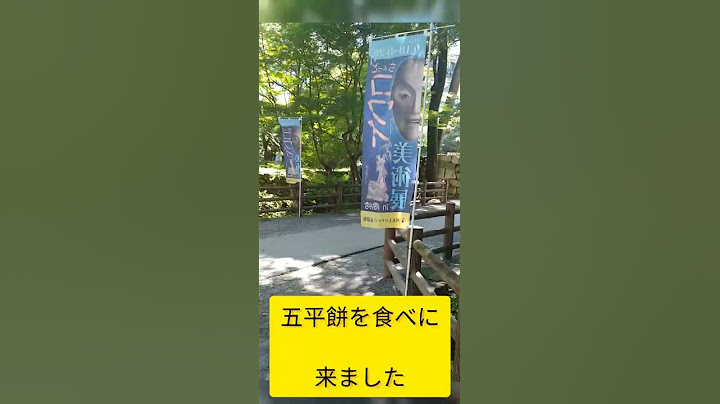 愛知県岡崎市への旅『2日目』【東海オンエア】#shorts