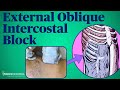 External Oblique Intercostal Fascial Plane Block