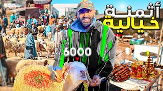 يوم في سوق سبت جزولة بمدينة اسفي اثمنة الحولي عيد الاضحى🐑 في المغرب 🇲🇦