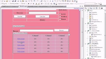 3ra. Parte ASP.NET en 3 capas con SQL Server