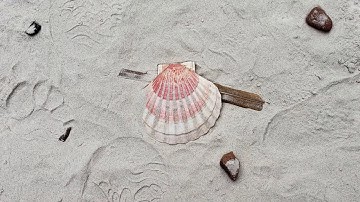 Take Great Pictures To Create Graph Patterns  Crescent Beach, FL