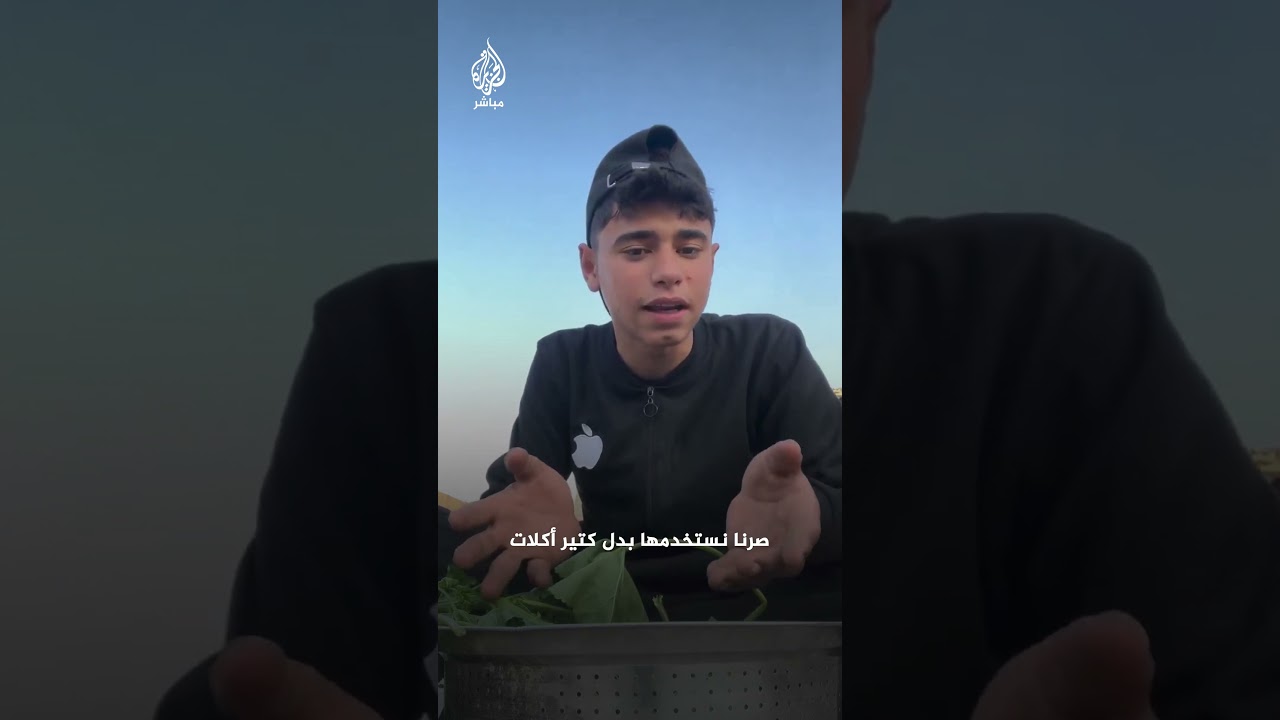 لماذا يجب أن تسجل نبتة الخبيزة في التاريخ؟