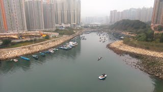 Little Bebop Flight Near The Water Again