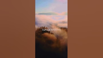 ما تيسر من سورة الأعلى بصوت الشيخ ياسر الدوسري 🤍
