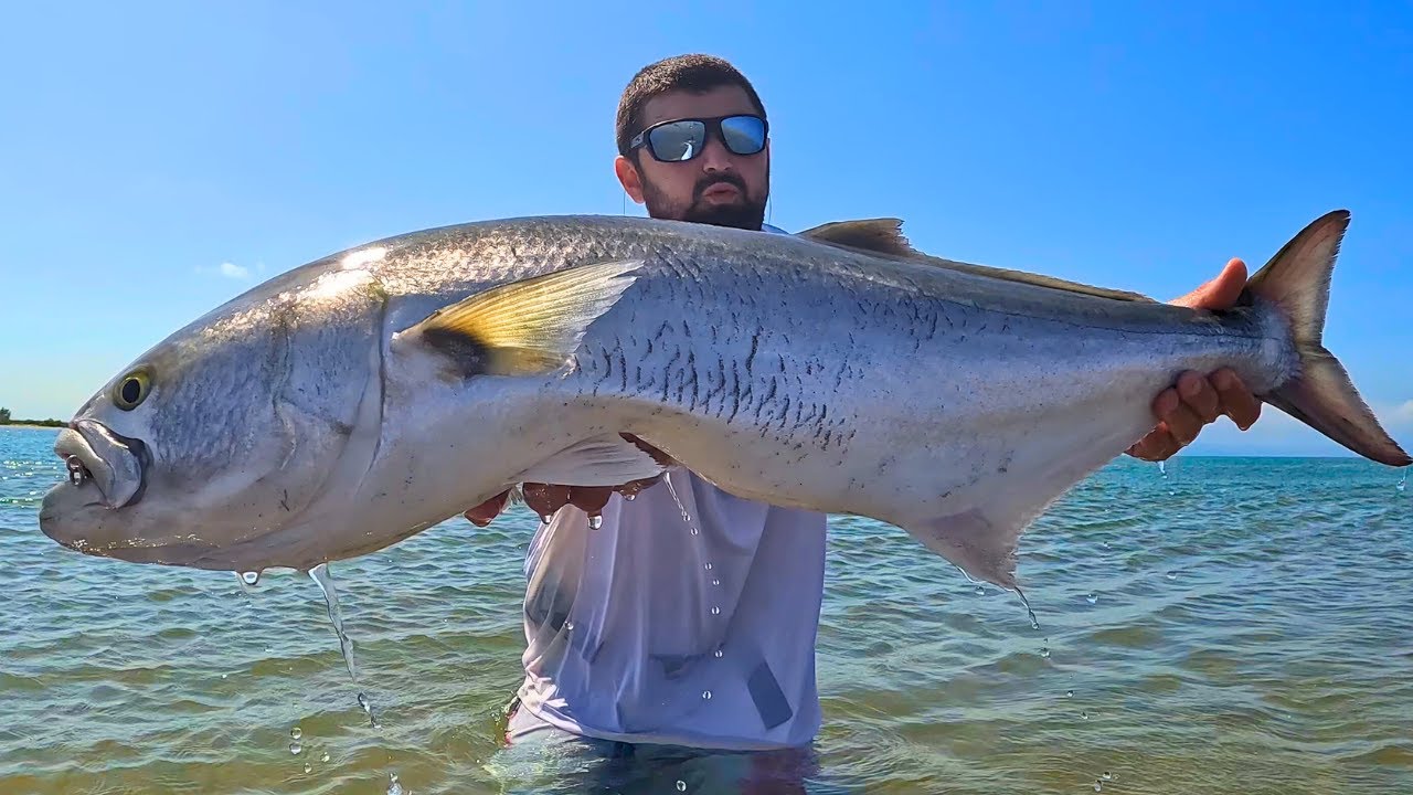 Pescare in foce. UN PESCE DA RECORD MI MANGIA SOTTO AI PIEDI, MA.…