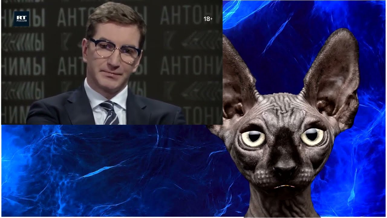 Кот костян рутуб