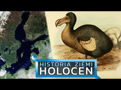 Holocen - powstanie Bałtyku, szóste wielkie wymieranie – Historia Ziemi #21