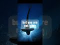 What happens after 30 days underwater?🐋🦈🌊