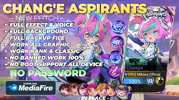 NEW Script Skin Chang