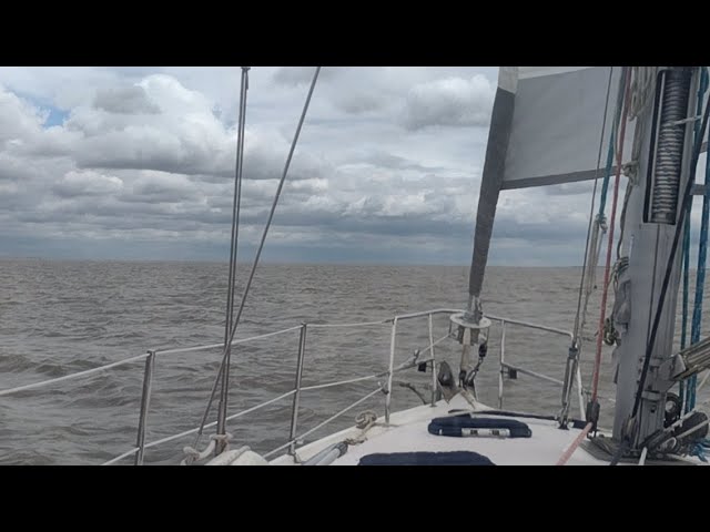 LIVE ⭕ Real-Time Sailing Delaware Bay  |  ⛵ The Foster Journey