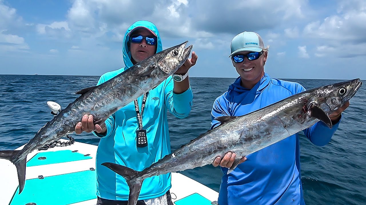 FISH ID? Galveston TX : r/saltwaterfishing