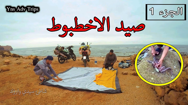 رحلة صيد 🎣 . ها كيفاش داز أول نهار ديالنا فالرحلة 🌊 . خيمنا فهاد البلاصة الرائعة  😍