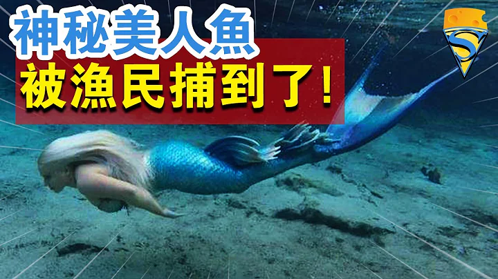 中國廣西漁民捕到了“美人魚”，神秘的人魚一族真的現身了嗎？ - 天天要聞