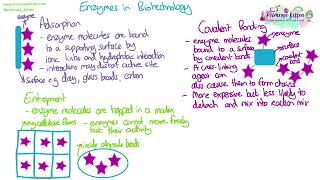 Immobilised Enzymes